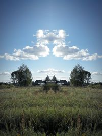 field