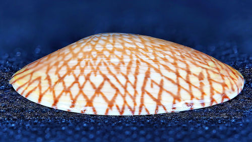 High angle view of bread on table