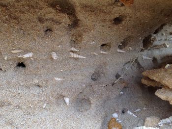 Full frame shot of stone wall