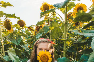 Portrait of happy beautiful young woman at sunflower field