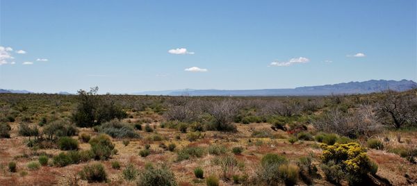 Scenic view of green landscape and mountains against sky