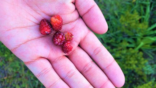 Close-up of hand holding strawberry