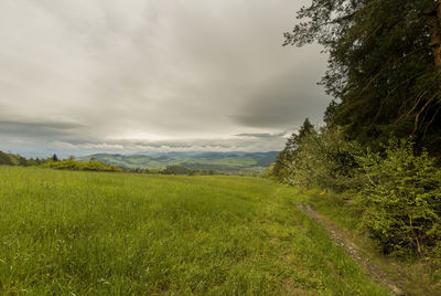 Scenic view of field against sky