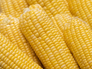 Full frame shot of corn