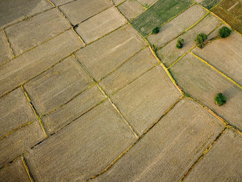 Full frame shot of agricultural field