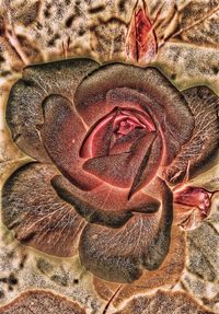 Full frame shot of abstract background