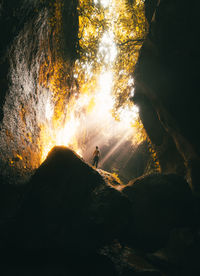 Silhouette man on rock amidst trees