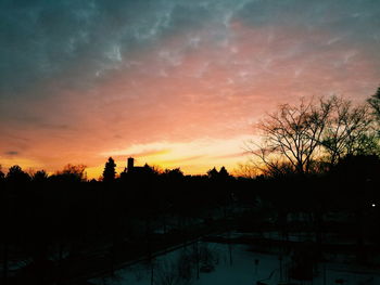 Silhouette of trees at sunset