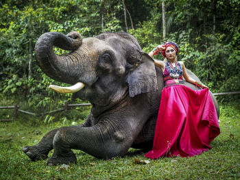 Full length of a young woman and elephant on land
