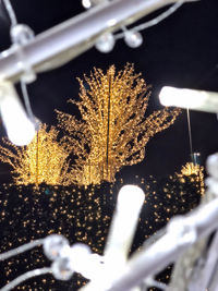 Close-up of illuminated snow during night