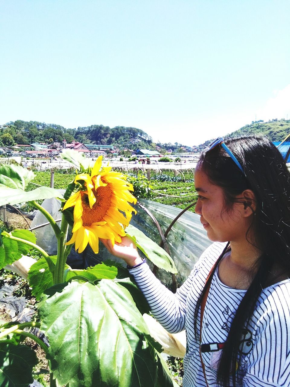 real people, one person, flower, day, lifestyles, outdoors, casual clothing, clear sky, beauty in nature, young women, leisure activity, nature, women, young adult, freshness, sky, close-up, people