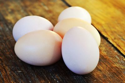 High angle view of eggs on table