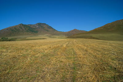 Scenic view of landscape against clear blue sky