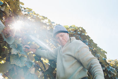 Man picking grapes from tree against sky