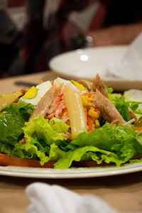 Close-up of meal served in plate