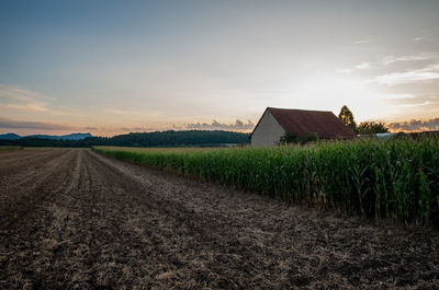 Agricultural field against sky during sunset