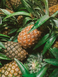 High angle view of fruits for sale in market