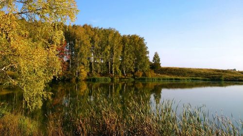 Scenic view of calm lake against clear blue sky