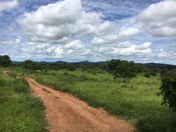 Scenic view of agricultural field against sky