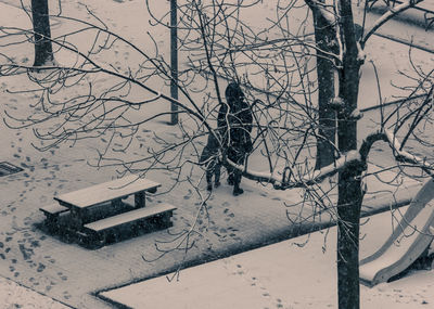 Bare tree in snow