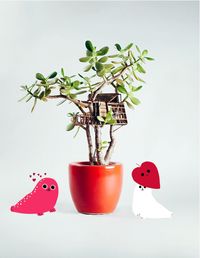 potted plant