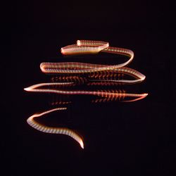Close-up of guitar over black background