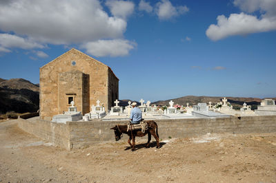 Rear view of man sitting on donkey at cemetery against blue sky