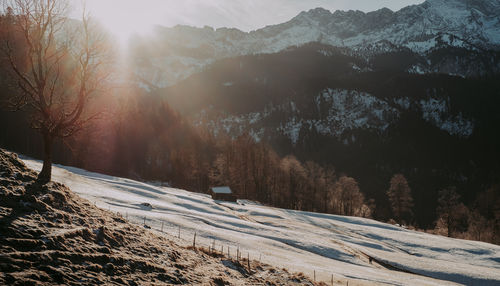 Scenic view of snow covered mountains