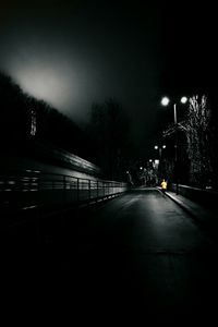 Road along trees at night