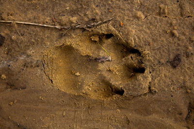 Full frame shot of wet sand