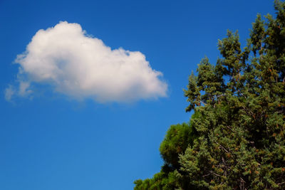 sky