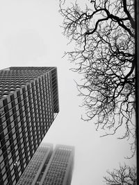 Modern skyscrapers against clear sky