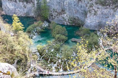 High angle view of trees by sea