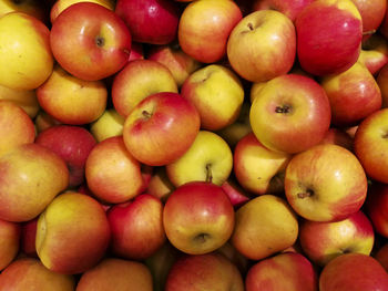 Full frame shot of oranges