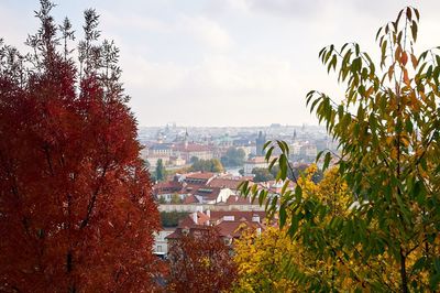 Trees and townscape against sky during autumn