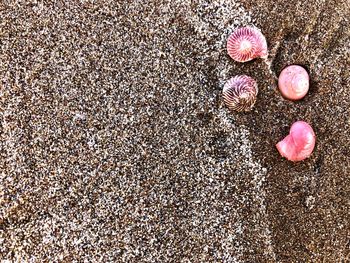 Close-up of sand on beach