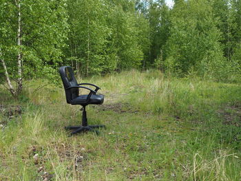 Chair on grass against trees
