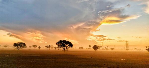 Scenic view of field against sky during sunset