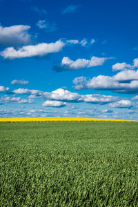 Scenic view of field against sky