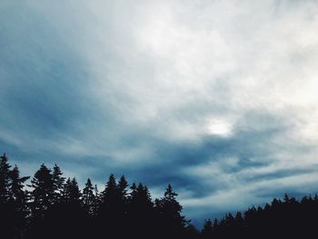 Low angle view of silhouette trees against sky