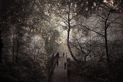 People walking on road