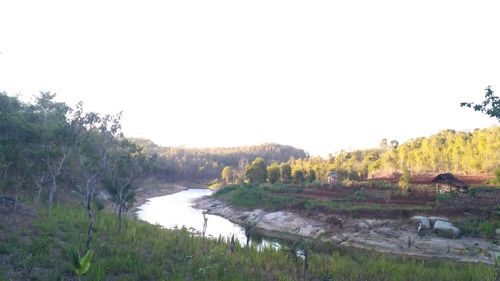 Scenic view of landscape against clear sky
