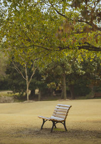 Empty bench in park