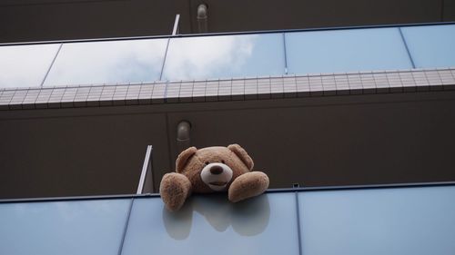 Low angle view of stuffed toy against sky