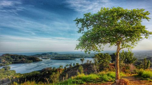 Scenic view of landscape against cloudy sky