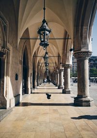 Corridor of building