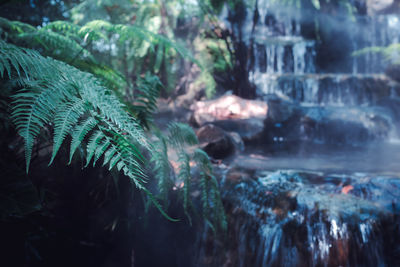 Close-up of water flowing through rocks