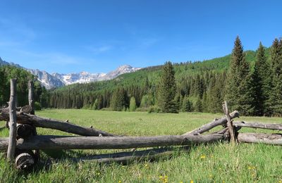 Scenic view of landscape against sky