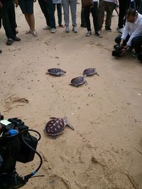 Low section of people on sand