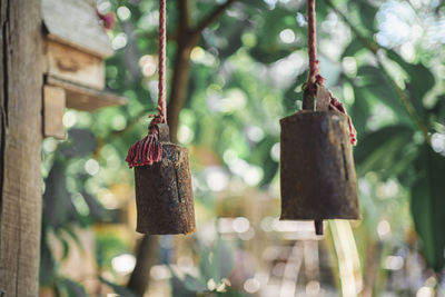Close-up of bell hanging on tree